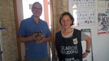 cagliari-pulce-1