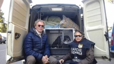 consegna-cibo-e-visita-di-un-cane