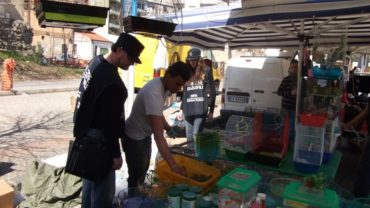 cosenza-papere-1