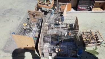 sequestro-napoli-1