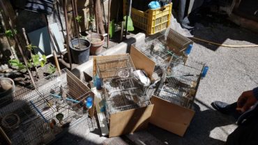 sequestro-napoli-10