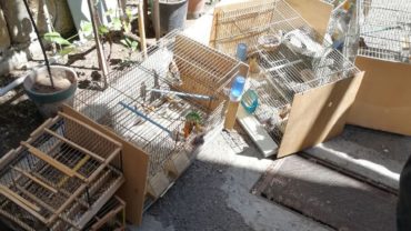 sequestro-napoli-12