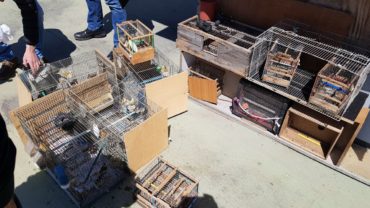 sequestro-napoli-3