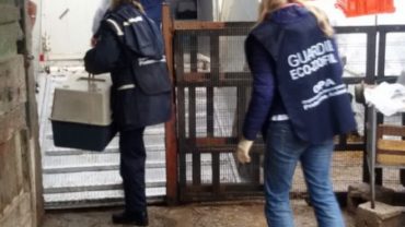 sequestro-gez-udine-18-1600x1200