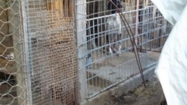 sequestro-gez-udine-26-1600x1200