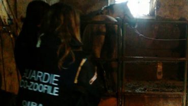 sequestro-gez-udine-31-1600x1200