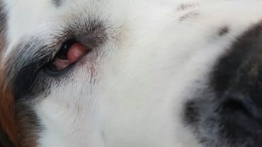 foto-02