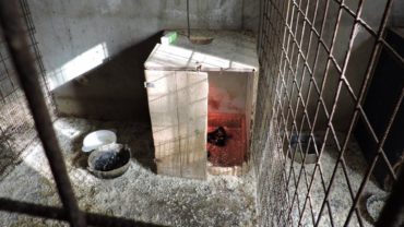 sequestro-6