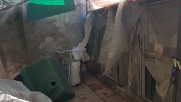 whatsapp-image-2018-06-20-at-10-50-502