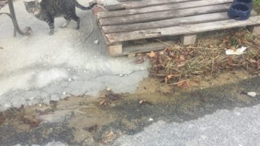 arezzo-gez-aiuti-emergenza-terremoto-10-1600x1200