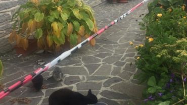 arezzo-gez-aiuti-emergenza-terremoto-14-1600x1200
