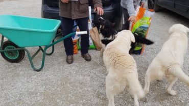 arezzo-gez-aiuti-emergenza-terremoto-17-1600x1200