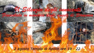 gez-siracusa-manifestazione-2-agosto-3-1600x1200