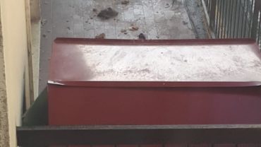 brescia-gez-sequestro-malamute-5-1600x1200
