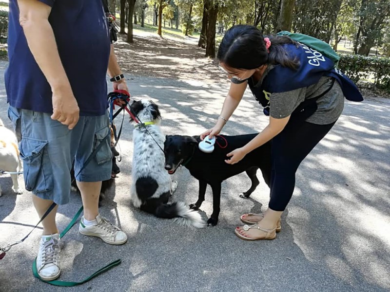 ANCHE AD AGOSTO LE GUARDIE DELL'OIPA CONTINUANO CON I CONTROLLI MICROCHIP, UNO DEGLI STRUMENTI FONDAMENTALI CONTRO IL RANDAGISMO E GLI ABBANDONI – Guardie zoofile OIPA