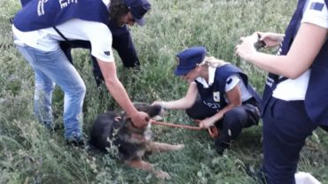 sequestro-nikita-gez-udine-10-1600x1200