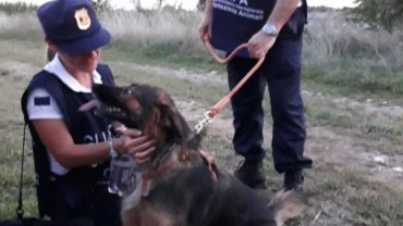 sequestro-nikita-gez-udine-8-1600x1200