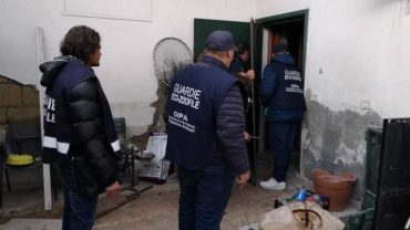 sequestro-napoli-pitbull-allevamento-6