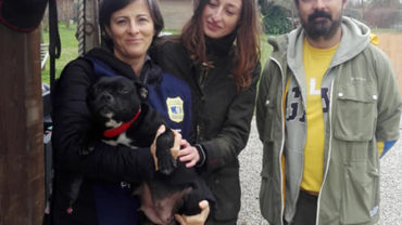 arezzo-staffy-2-2