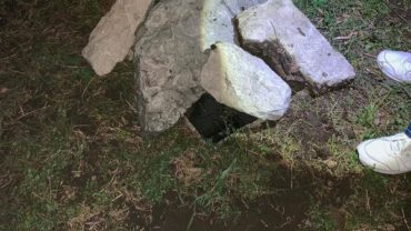 guardie-caserta-salvataggio-cane-pozzo-2