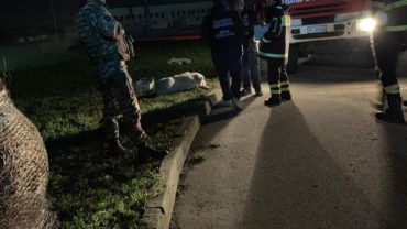guardie-caserta-salvataggio-cane-pozzo-6