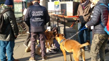 milano-sequestro-accattonaggio-5