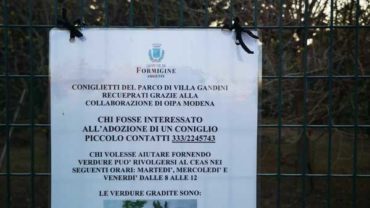 oasi-conigli-modena-10