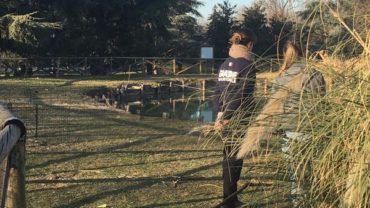 oasi-conigli-modena-23