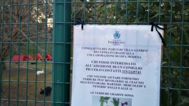 oasi-conigli-modena-9