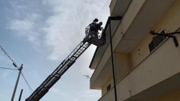 gez-caserta-cane-balcone-6