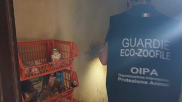sequestro-accumulatrice-gez-modena-17