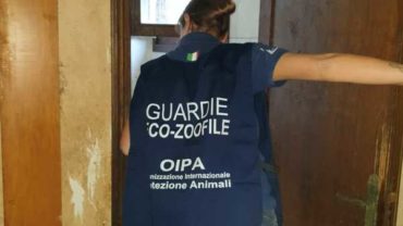 sequestro-accumulatrice-gez-modena-32