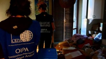 sequestro-accumulatrice-gez-modena-4