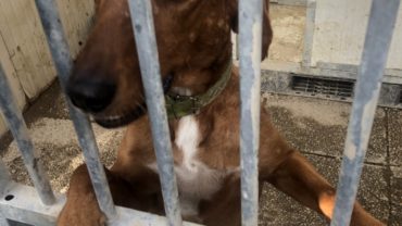 lola-e-buck-liberati-gez-oipa-firenze-1600x1200
