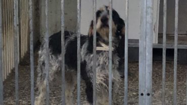 lola-e-buck-liberati-gez-oipa-firenze-7-1600x1200