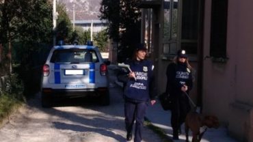 sequestro-pitbull-udine-14