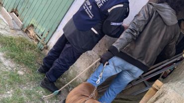 sequestro-pitbull-udine-7