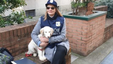 sequestro-cucciolo-gez-milano-4-1600x1200