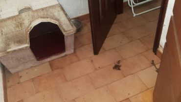 sequestro-buck-gez-bologna-1-1600x1200