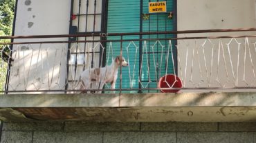 sequestro-gez-bologna-bazzano-savigno-20-1600x1200