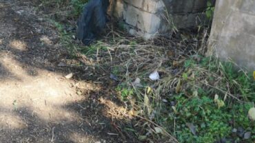 ragusa-gez-liberazione-sansone-cane-corso-5-1600x1200