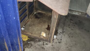 milano-gez-sequestro-due-cani-2-1600x1200