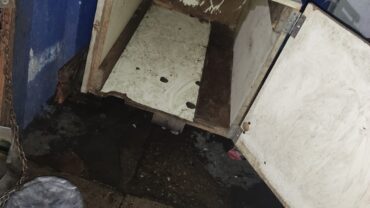 milano-gez-sequestro-due-cani-4-1600x1200