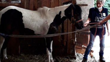 carlotta-pony-gez-brescia-3-1600x1200