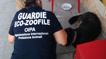 alba-guardie-oipa-udine-14