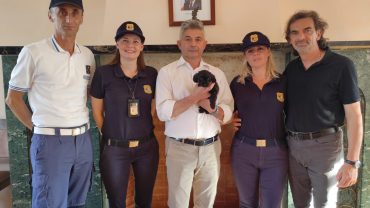 udine-gez-cucciolo-leone-gettato-nellimmondizia-3-1600x1200