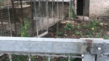sequestro-tonto-mitch-guardie-oipa-modena-12-1600x1200