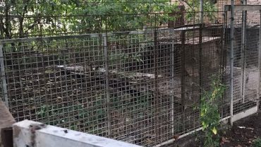sequestro-tonto-mitch-guardie-oipa-modena-8-1600x1200