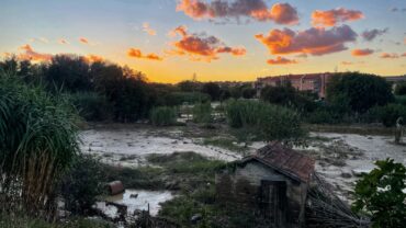 alluvione-marche-guardie-oipa-ancona-14
