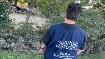 alluvione-marche-guardie-oipa-ancona-16